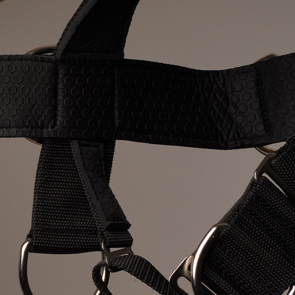 Alpha Harness Plus Neck Harnesses Iron Neck