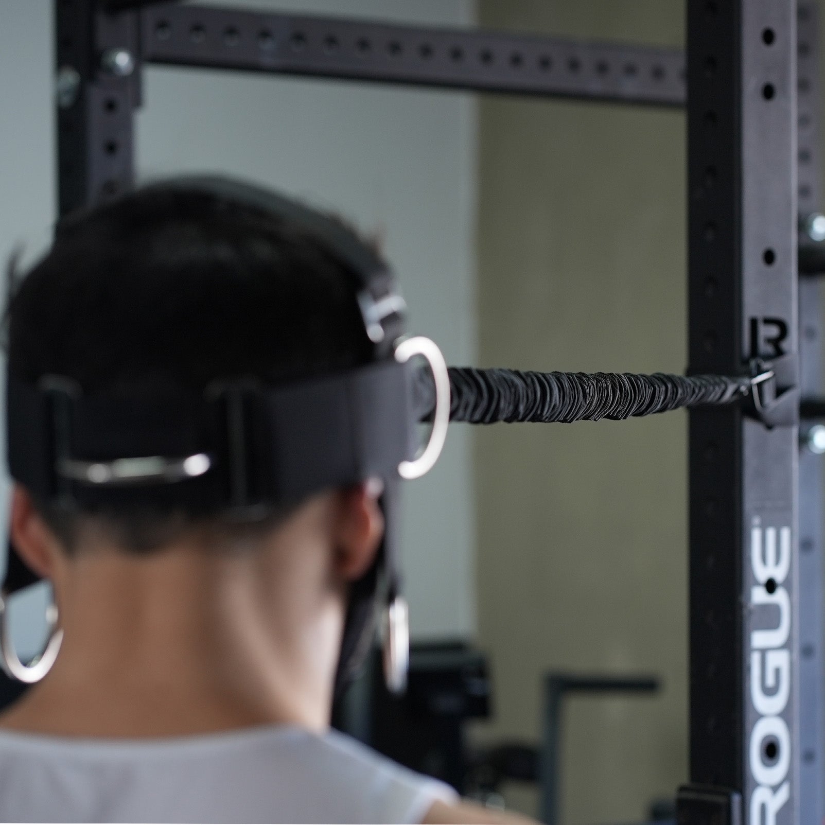 Alpha Plus Harness Strength Bundle Neck Harnesses Iron Neck