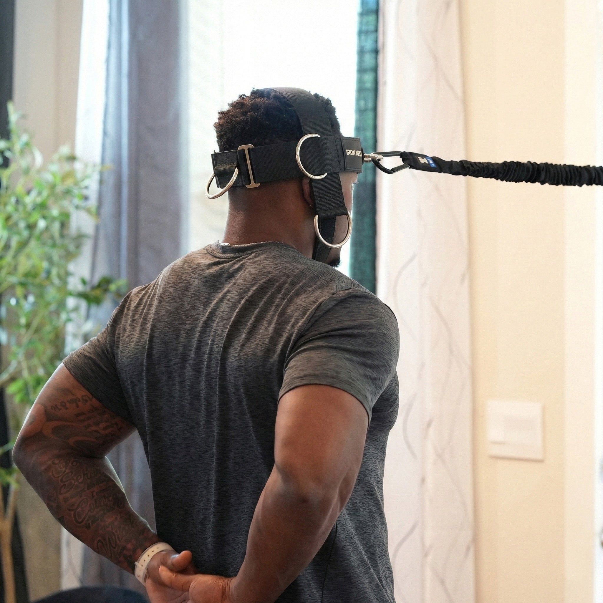 Alpha Plus Harness Strength Bundle Neck Harnesses Iron Neck